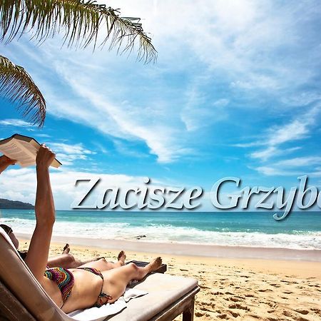 Appartamento Zacisze Grzybowo Grzybowo  Esterno foto